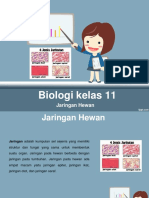 Jaringan Hewan (Biologi Kelas 11)