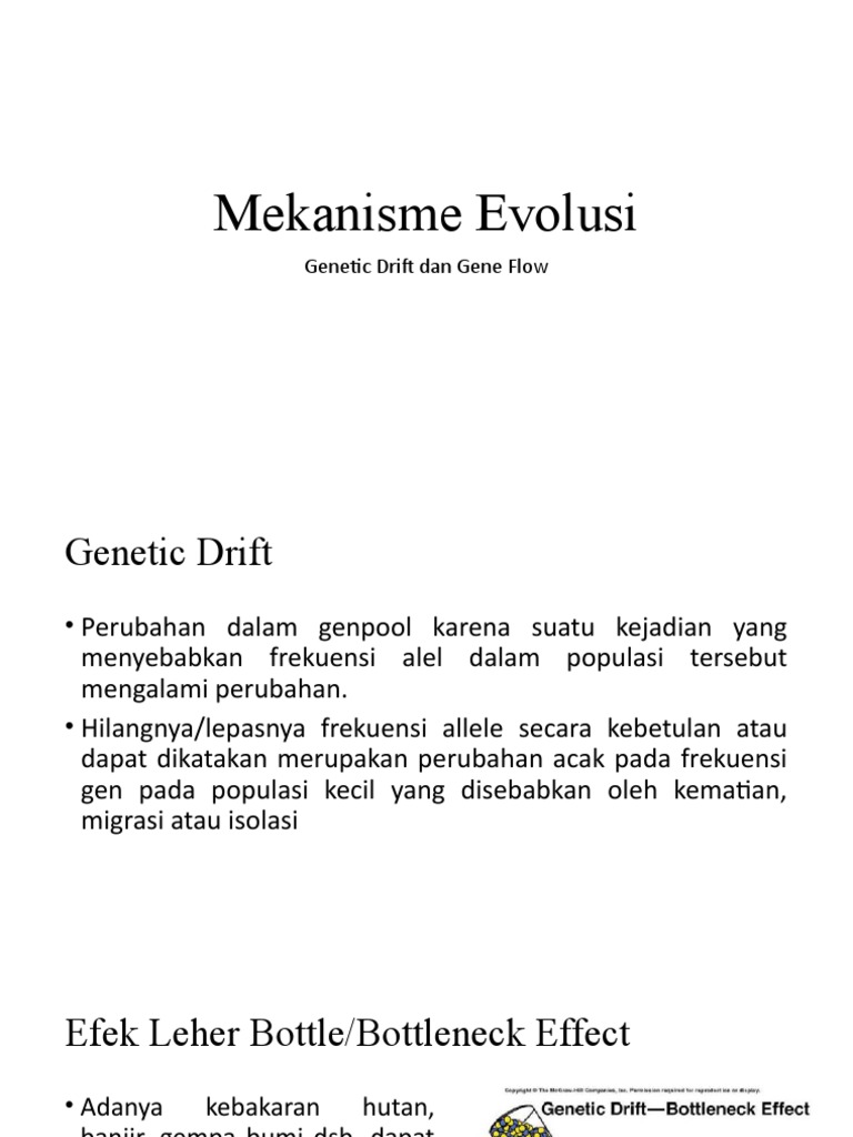 Genetic Drift Dan Genetic Flow Pdf