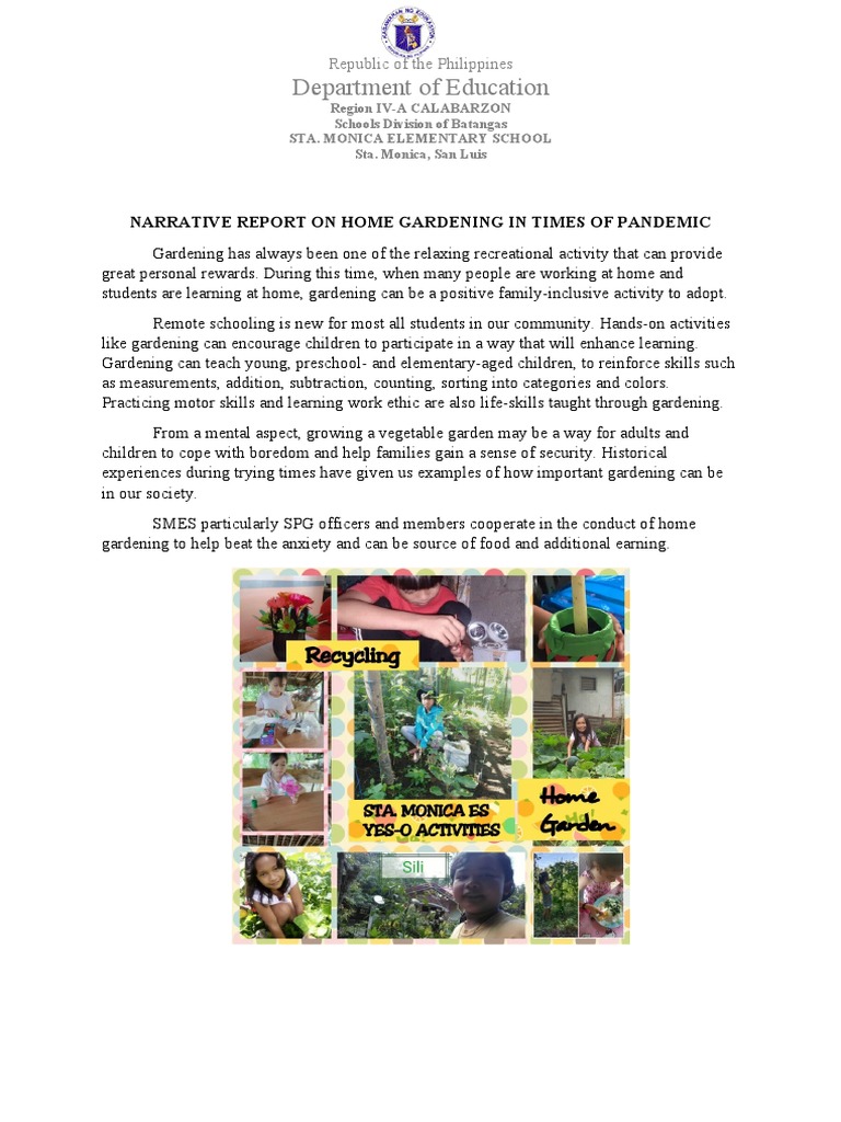 Narrative Report On Home Gardening in Times of Pandemic PDF