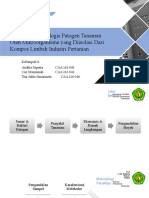 File Presentasi