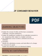 Consumer Behavior Theory: Utility, Budgets & Equilibrium