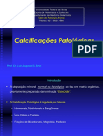 Calcificações_Patológicas_2014