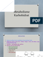 4.2 Metabolisme Karbohidrat