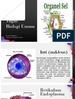 Biologi Umum Putri