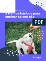 3 Treinos Básicos Cães