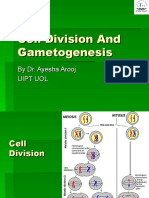 Cell Division and Gametogenesis