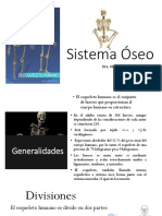 Sistema Óseo 6