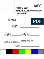 (Format) Cartel Identificación Fotos - Esp