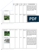 2018-150 - Andre Riswanda Putra - Cacahan Folium - Makroskopis