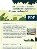 Pradika - Microgreen Tanaman Basil