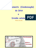 Biologia Molecular - Empacotamento Do Dna