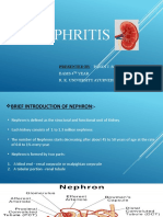 Nephritis: Presented by