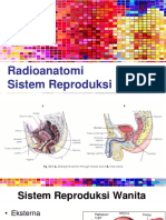 Radioanatomi Sistem Reproduksi