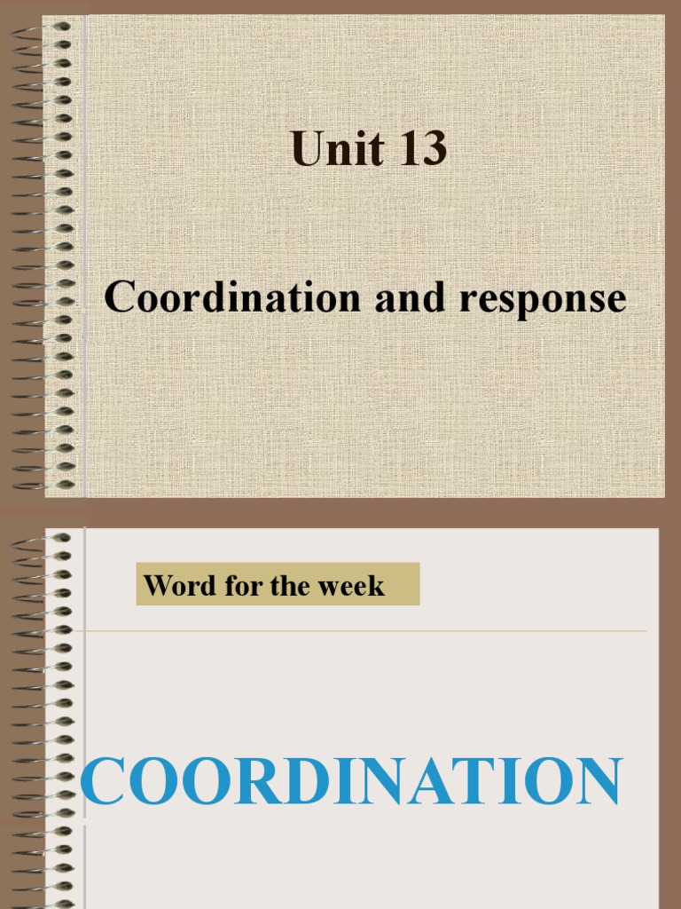 Unit 13: Coordination and Response | PDF | Nervous System | Neuron