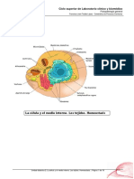 Unidad - 2 Fisiopatologia