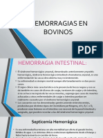 HEMORRAGIAS EN BOVINOS(1)