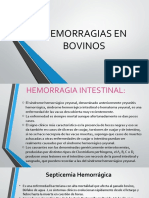 Hemorragias en Bovinos