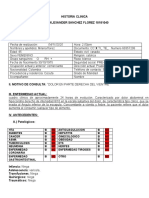 Historia Final Semestre