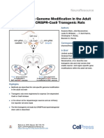 Neuron-Specific Genome Modification in the Adult Rat Brain Using CRISPR-Cas9 Transgenic Rats