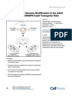Neuron-Specific Genome Modification in The Adult Rat Brain Using CRISPR-Cas9 Transgenic Rats