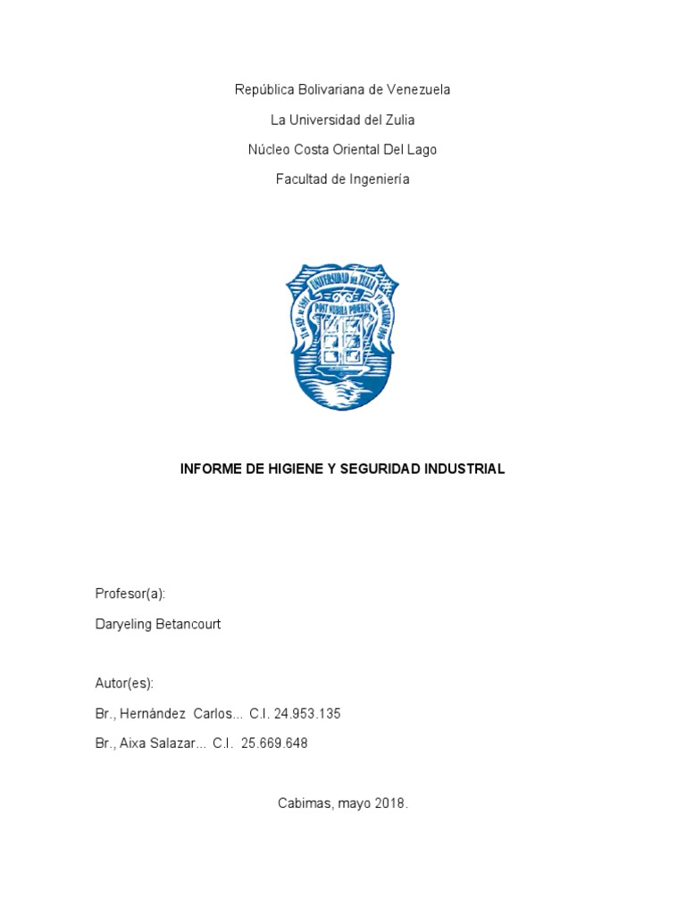 Informe de Higiene y Seguridad Industrial | PDF | Seguridad y salud ...