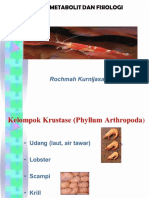 5 .Biodegradasi Crustacea 2