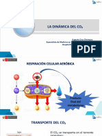 Tema 5 - La Dinámica Del Co2