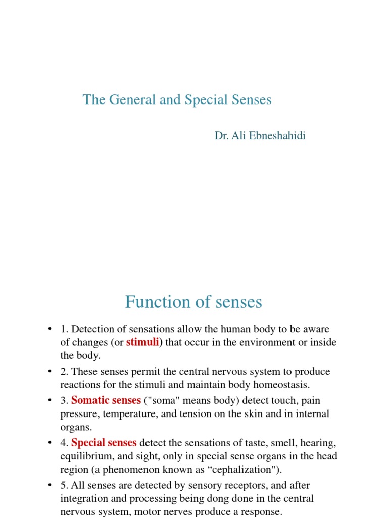Physiology of General and Special Senses | PDF | Senses | Ear