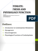 Carbohydrate: Biosynthesis and Physiology Function