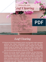 (NEW) PPT Leaf Clearing