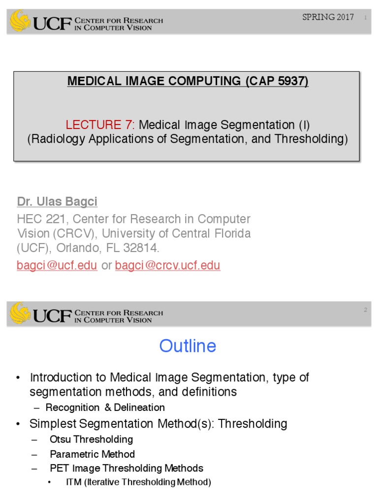 Medical Image Segmentation Techniques | PDF | Image Segmentation ...