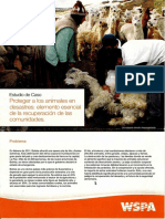 Estudio de Caso Proteger A Los Animales en Desastres Elemento Esencial de La Recuperacion de Las Comunidades - 2011