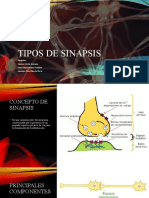 Tipos de Sinapsis