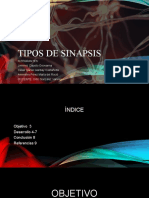 Tipos de sinapsis (1)