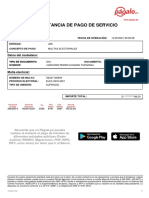 PAGO DE MULTA DE ELECCIONES 11 ABRIL 2021 - ConstanciasPago210002922060