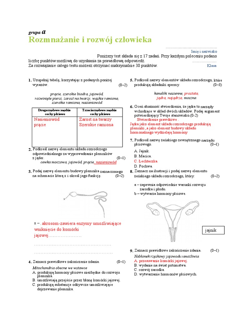 Puls życia 7 Sprawdziany Chomikuj Pdf