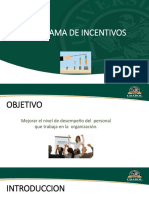 Tema 2 Programa de Incentivos