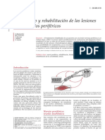 Tratamiento y Rehabilitacion de Las Lesiones de Los Nervios Perifericos