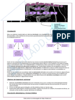 Patologias Del Colon1