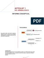 Informe 1 Árbol Genealógico