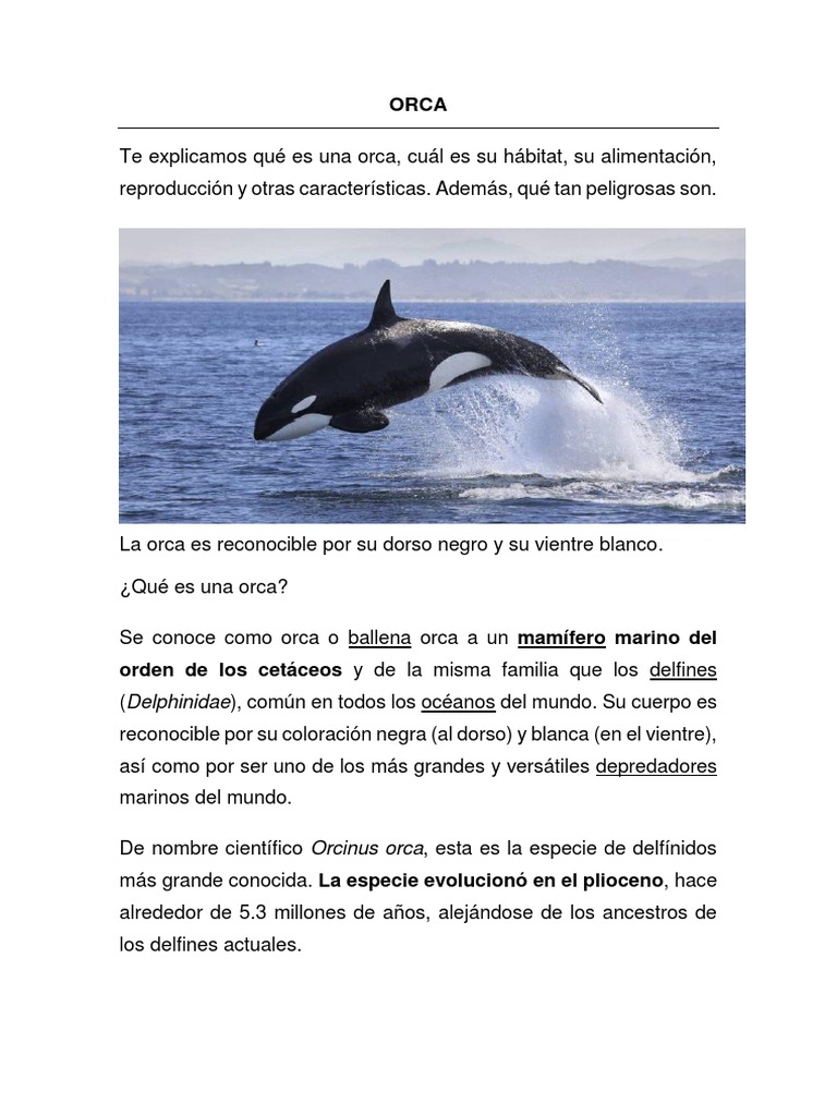La Orca | PDF | Ciencias sociales