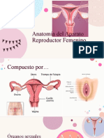 Anatomía Del Aparato Reproductor Femenino