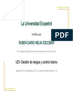 UEV Gestión de riesgos y control interno 12-09-2020