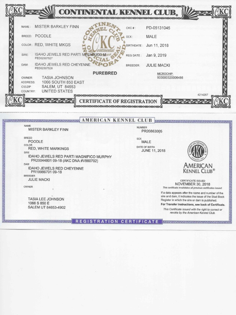 Akc and CKC Registration CertificatesMerged PDF Poodle Alanine