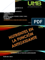 Nutrientes en La Funcion Antioxidante.pptx