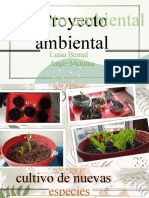 Proyecto Ambiental