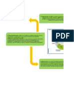 Planificación proyectos riego