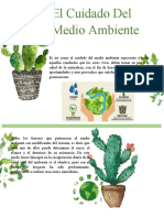 Medio Ambiente