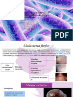 Diagnóstico Hongos no dermatofitos: Malassezia Furfur y Candida albicans