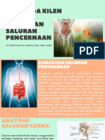 Diet Pada Gangguan Saluran Pencernaan